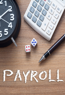 payroll management software